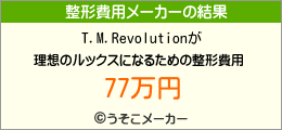 T.M.Revolutionの整形費用メーカー結果