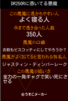 DR250Rの悪魔祓いメーカー結果