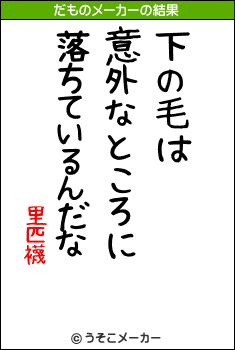 里匹襪のだものメーカー結果