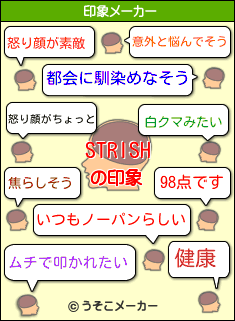 STRISHの印象メーカー結果
