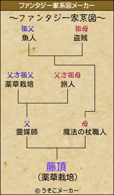 藤頂のファンタジー家系図メーカー結果