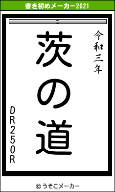 DR250Rの書き初めメーカー結果