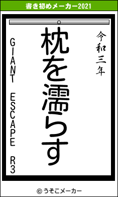 GIANT ESCAPE R3の書き初めメーカー結果