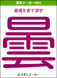 藤蠅の2021年の漢字メーカー結果