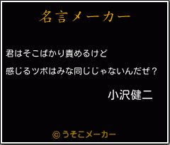 小沢健二の名言 君はそこばかり責めるけど 感じるツボはみな同じじゃないんだぜ