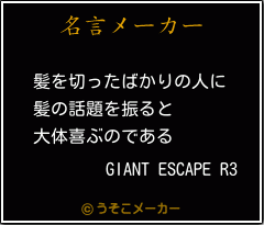 GIANT ESCAPE R3の名言メーカー結果