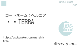 ŹĹTERRAの名刺メーカー結果