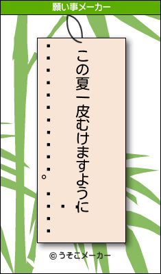 ꡼の願い事メーカー結果