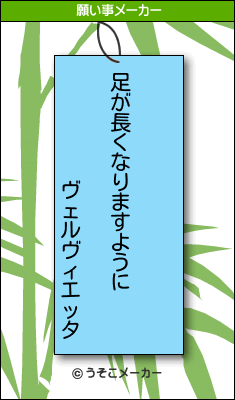 ヴェルヴィエッタの願い事メーカー結果