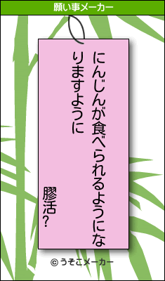 膠活?の願い事メーカー結果