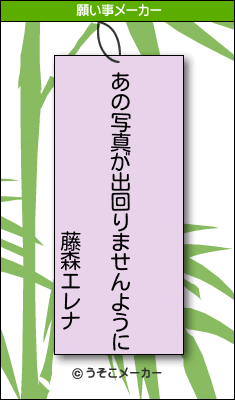 藤森エレナの願い事メーカー結果