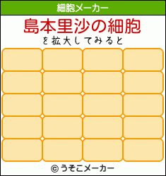 島本里沙の細胞メーカー結果