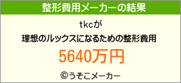 tkcの整形費用メーカー結果