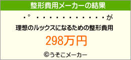 ѥの整形費用メーカー結果