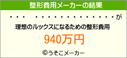 롦쥪ϡの整形費用メーカー結果