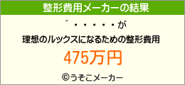 ظޤの整形費用メーカー結果