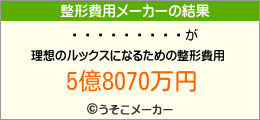 һの整形費用メーカー結果