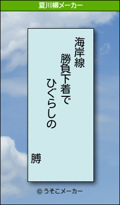 膊の夏川柳メーカー結果