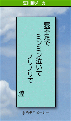 膣の夏川柳メーカー結果