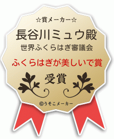 長谷川ミュウの賞メーカー結果