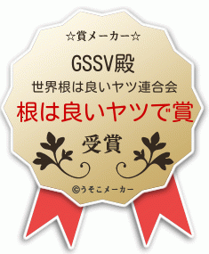 GSSVの賞メーカー結果