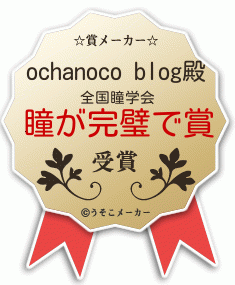 ochanoco blogの賞メーカー結果