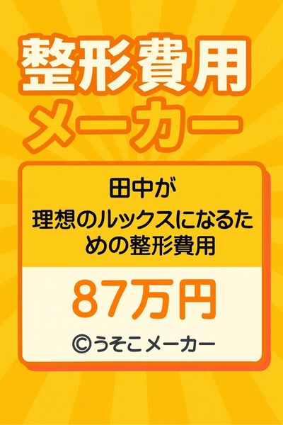 整形費用メーカー