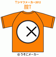 腟のTシャツメーカー2012結果