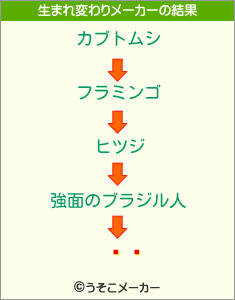 ϱѶの生まれ変わりメーカー結果