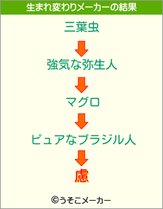 慮の生まれ変わりメーカー結果