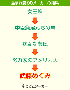 武藤めぐみの生まれ変わりメーカー結果