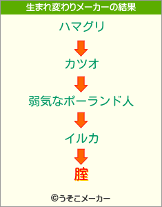 腟の生まれ変わりメーカー結果