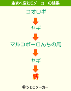 膊の生まれ変わりメーカー結果