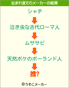 膤?の生まれ変わりメーカー結果