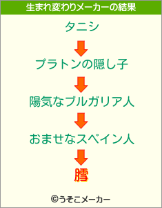 膤の生まれ変わりメーカー結果