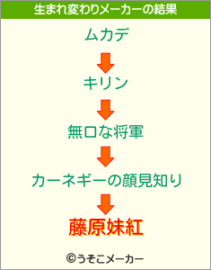 藤原妹紅の生まれ変わりメーカー結果