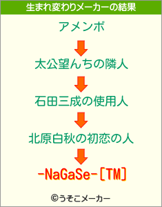 -NaGaSe-[TM]の生まれ変わりメーカー結果