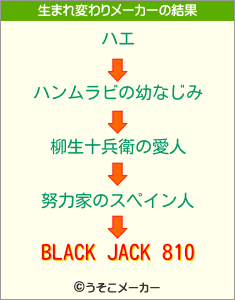 BLACK JACK 810の生まれ変わりメーカー結果