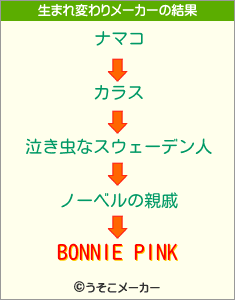 BONNIE PINKの生まれ変わりメーカー結果