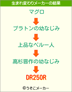 DR250Rの生まれ変わりメーカー結果