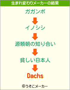 Dachsの生まれ変わりメーカー結果