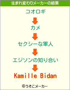 Kamille Bidanの生まれ変わりメーカー結果