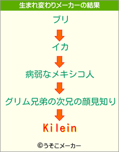 Kileinの生まれ変わりメーカー結果