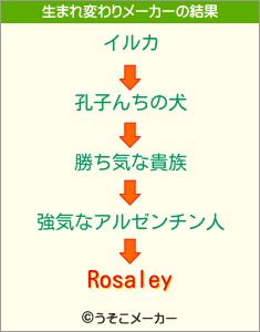 Rosaleyの生まれ変わりメーカー結果