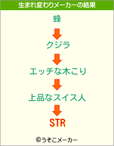 STRの生まれ変わりメーカー結果