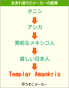 Templar Amankrisの生まれ変わりメーカー結果