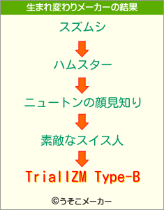 TrialIZM Type-Bの生まれ変わりメーカー結果
