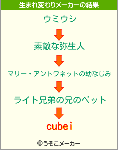 cubeiの生まれ変わりメーカー結果