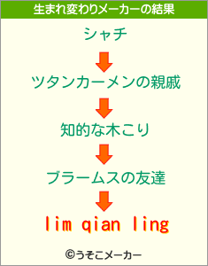 lim qian lingの生まれ変わりメーカー結果