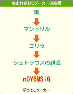 n0Y6MSiQの生まれ変わりメーカー結果